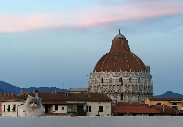 Alla Torre Con Vista Pisa Zimmer foto